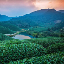 【杯子舞音乐体验和会小二:DB cooper私人飞机