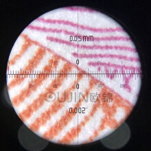OUJIN台式高倍放大镜高清显微镜40倍60倍100倍带刻度显微镜照布显微镜 40倍