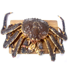 帝王蟹 鲜活 俄罗斯进口帝王蟹2400-2600g/只 约5斤 螃蟹 海鲜水产