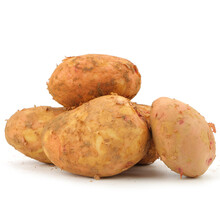 云南现挖红皮黄心土豆洋芋 马铃薯2.5kg