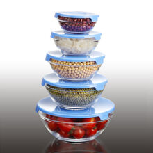 益馨荣 五件套耐热玻璃保鲜碗带盖饭盒沙拉碗泡面碗微波炉透明玻璃碗套装 五件套平光碗蓝色盖