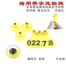 正略 加厚激光刻字猪耳标号牌 猪耳牌猪用耳标 耳标牌养殖场设备 加厚带字耳标 不掉色