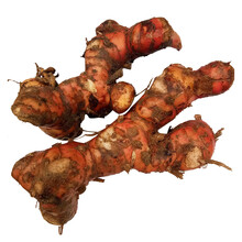 潮汕新鲜南姜 芦苇姜山姜嫩姜 生鲜蔬菜调料 2kg