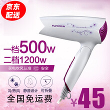 飞科（FLYCO）电吹风机家用小功率冷热风学生宿舍电吹风筒FH6257 标配