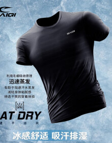 赛琪短袖T恤男夏季薄款冰丝速干圆领体恤男士运动健身跑步宽松上衣服 黑色 XL