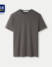 HLA海澜之家短袖T恤男24含桑蚕丝圆领纯色短袖男夏季