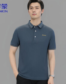 罗蒙（ROMON）短袖T恤男士polo.衫夏季商务休闲短袖男上衣男装体恤 灰兰色 XL 