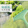 绿色2个装【值】
