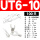 UT6-10（100只）