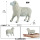 M-1574绵羊