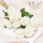 白色 牡丹花5枝-15朵花