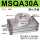 MSQA30A