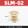 SLM-02(1/4) 平头
