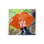 uu跑腿 橙色小雨伞+卡扣绑伞器
