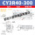 深灰色 CY3R40-300