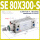 SE 80X300-S