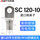 120-10（10只）