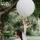 36寸白色气球（2个）丝带一卷
