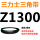 Z(O)1300 Li