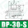 DP30S