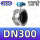 304材质 DN300