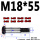 M14*55（2支）