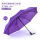 八骨自动雨伞-紫色