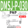 浅灰色 DMSJ-P030-PNP-3