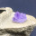 紫水晶簇一块(2-3cm)