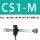 CS1-M-S16