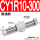 CY1R10-300