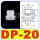 DP-20 10个