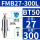BT50-FMB27-300L