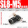 SL8-M5黑