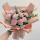 11朵粉色康乃馨花束