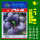 紫红色 紫油菜约500粒