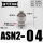 ASN2-04