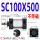 SC100X500