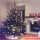 精品云杉圣诞树3.1-3.3米高 0个 0cm