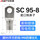 95-8（10只）