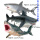 大白鲨+虎鲨+巨齿鲨(3只装) 可备