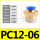 PC1206