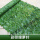 彩印    绿萝叶(1米×1米) +扎带
