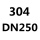 304 DN250L=520mm