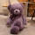 紫色米大熊