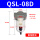 QSL-08D自动排水2分/10公斤