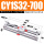 CY1S32X700