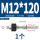 M12*120(打孔16mm)