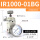 IR1000-01BG带表