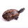 10-11厘米大龟